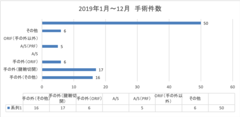 2019手術実績